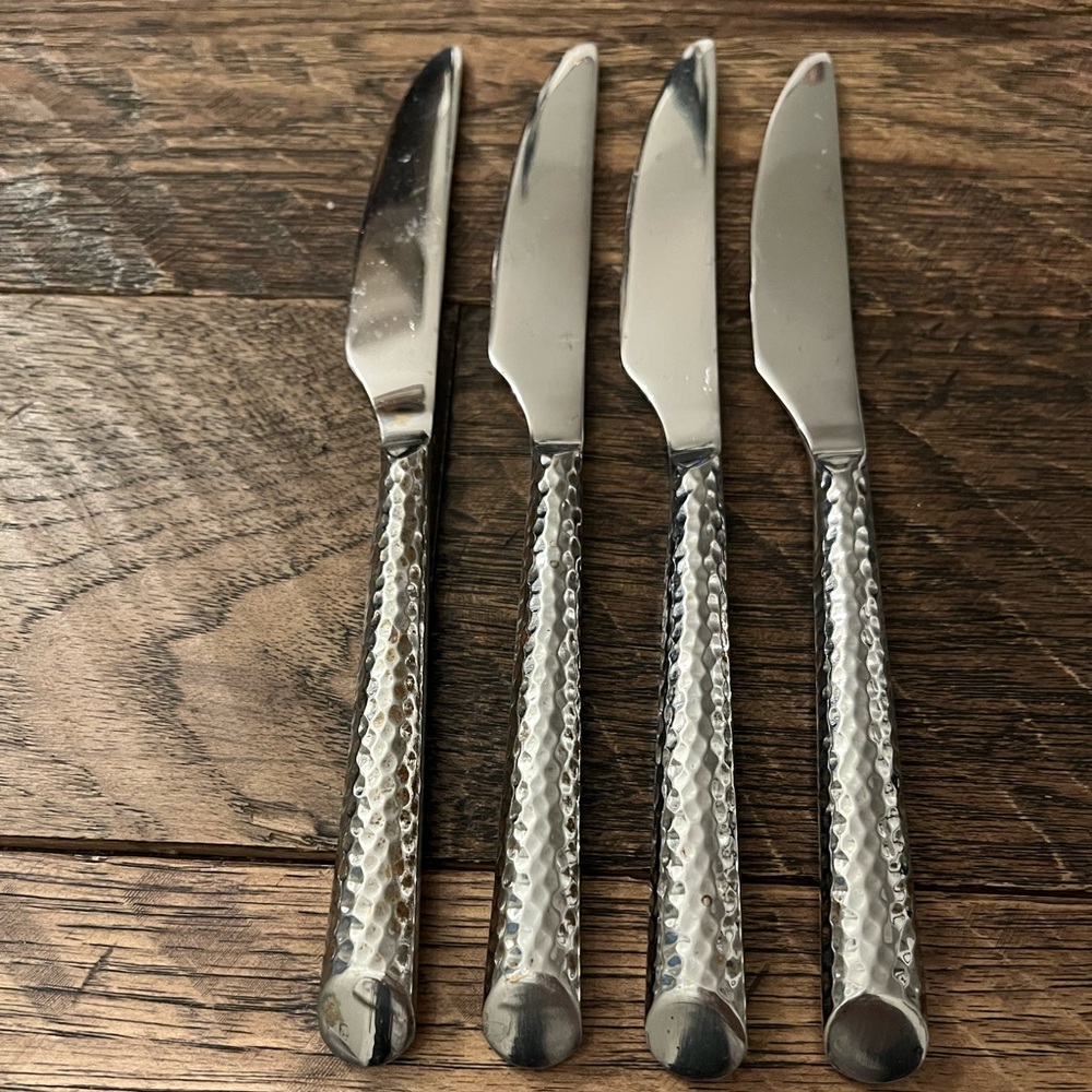 Cumin Stainless Dinner Knives (4) by FOOD NETWORK